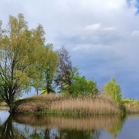 Gniazdo W Felicjanowie Uniejów Eksteriør billede